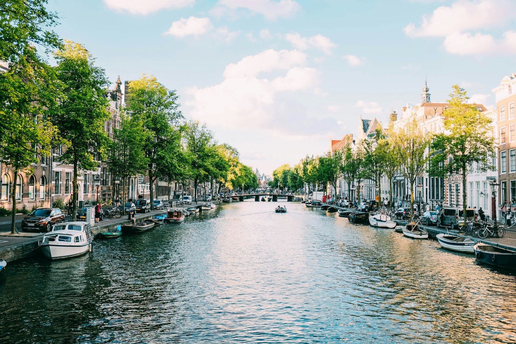 An Amsterdam canal lined with trees