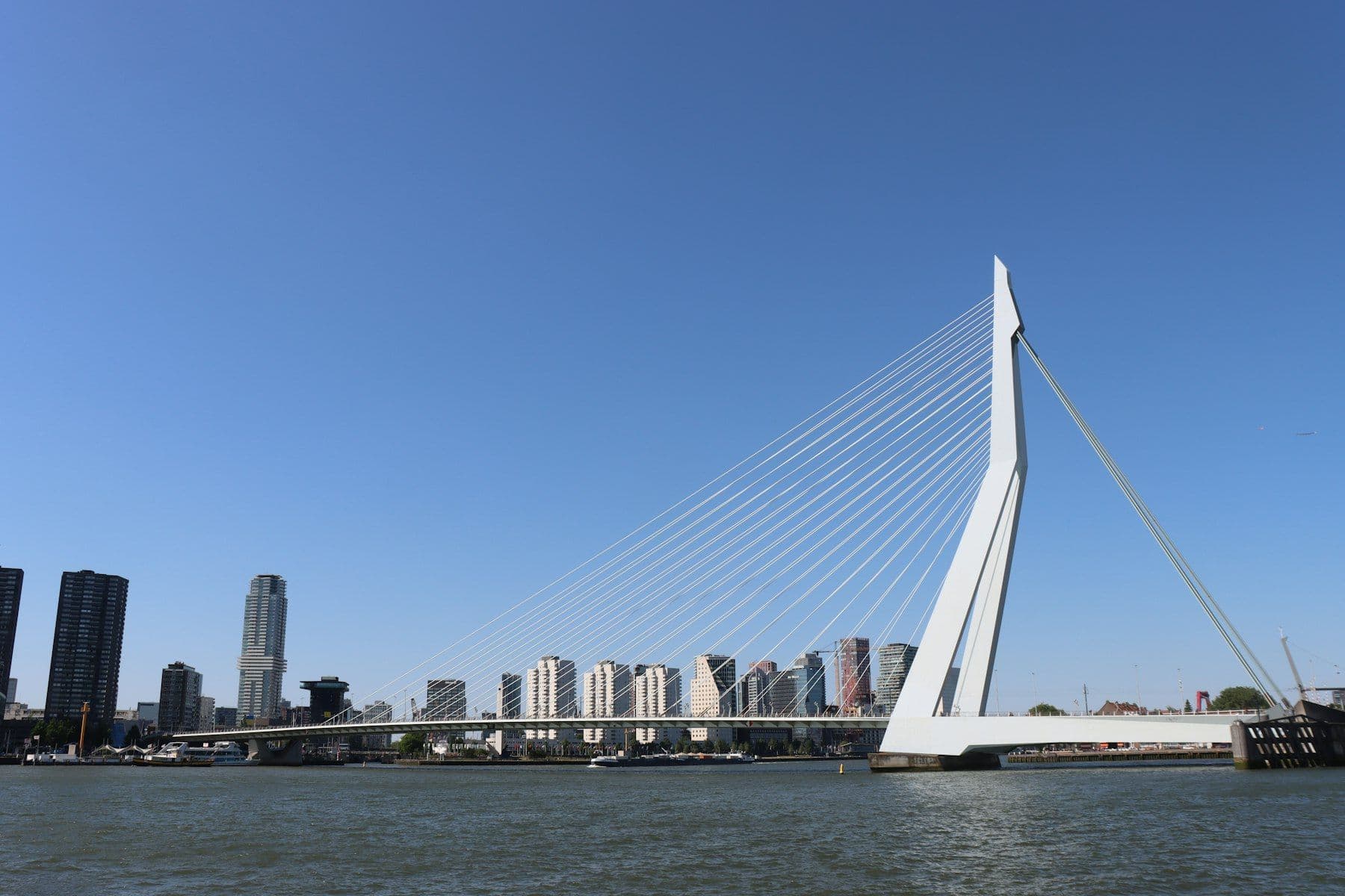 Erasmus Bridge, Rotterdam